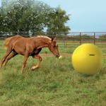 Power Play Ball Power Play Ball