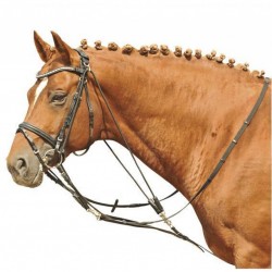 Εκπαιδευτικά Ηνία Gogue