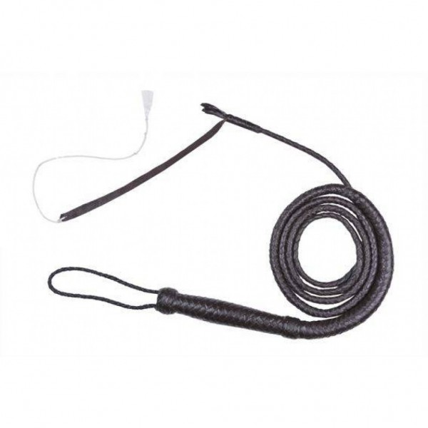 Μαστίγιο Western