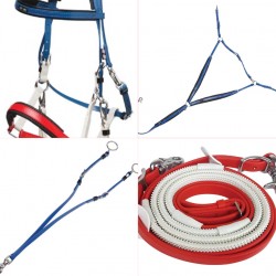 Σετ Ιππικής Αντοχής