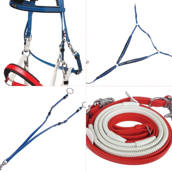 Σετ Ιππικής Αντοχής