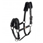 Καπίστρι- Modern Rose Καπίστρι- Modern Rose