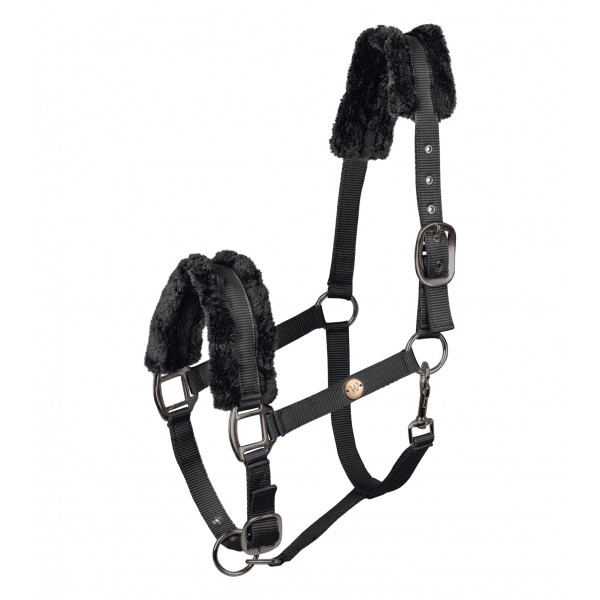 Καπίστρι- Modern Rose Καπίστρι- Modern Rose