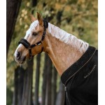 Καπίστρι- Modern Rose Καπίστρι- Modern Rose