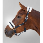 Καπίστρι- Modern Rose Καπίστρι- Modern Rose