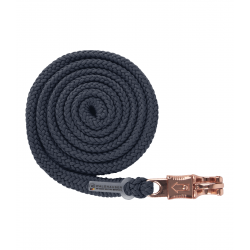 Οδηγός-Σχοινί- Modern Rose