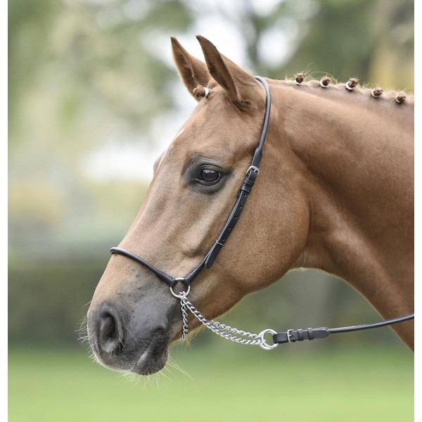 Χαλινό Επίδειξης Χαλινό Επίδειξης