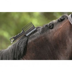 Χτένα Χαίτης