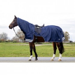 Exercise rug with removeable neck part