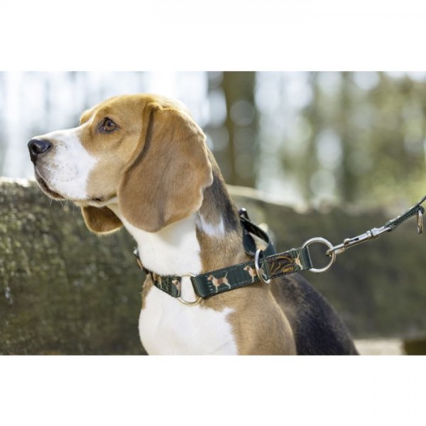 Κολάρο σκύλου -Beagle-