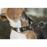 Κολάρο σκύλου -Beagle-