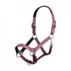 Καπίστρι-Anni