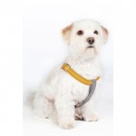 Σαμαράκι σκύλου, Step-In -Anam Cara- nylon Σαμαράκι σκύλου, Step-In -Anam Cara- nylon