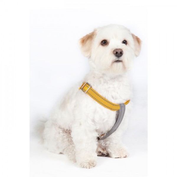 Σαμαράκι σκύλου, Step-In -Anam Cara- nylon Σαμαράκι σκύλου, Step-In -Anam Cara- nylon