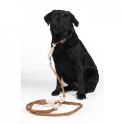 Dogs trainings leash -Anam Cara- rope