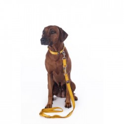 Dogs training leash -Anam Cara- nylon
