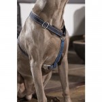 Σαμαράκι σκύλου -Anam Cara Basic- nylon