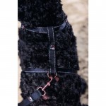 Σαμαράκι σκύλου -Anam Cara Basic- nylon