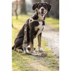 Dogs trainings leash -Anam Cara- printed