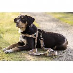 Λουρί εκπαίδευσης σκύλου -Anam Cara- με σχέδιο Λουρί εκπαίδευσης σκύλου -Anam Cara- με σχέδιο