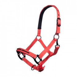 Καπίστρι -Savona- Style