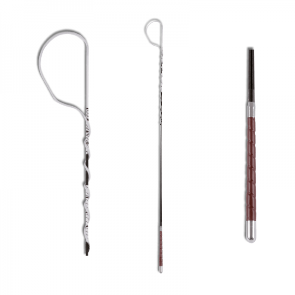 Μάστιγα Άμαξας Μάστιγα Άμαξας