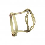 Σαμαράκι σκύλου -Amitye- Σαμαράκι σκύλου -Amitye-