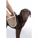 Πετσέτα σκύλου -Daisy- Πετσέτα σκύλου -Daisy-