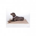 Κουβέρτα σκύλου δύο όψεων -Lilly- Κουβέρτα σκύλου δύο όψεων -Lilly-