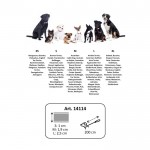 Λουρί εκπαίδευσης σκύλου -Qooper- από nylon