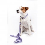 Λουρί εκπαίδευσης σκύλου -Qooper- από nylon