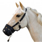 Μάσκα Διαίτης