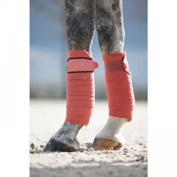 Μπαντάζ -Rosewood- Μπαντάζ -Rosewood-