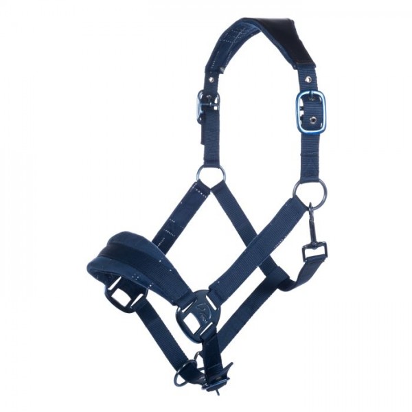 Καπίστρι -Port Royal- Καπίστρι -Port Royal-