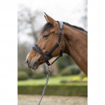 Καπίστρι -Port Royal- Καπίστρι -Port Royal-