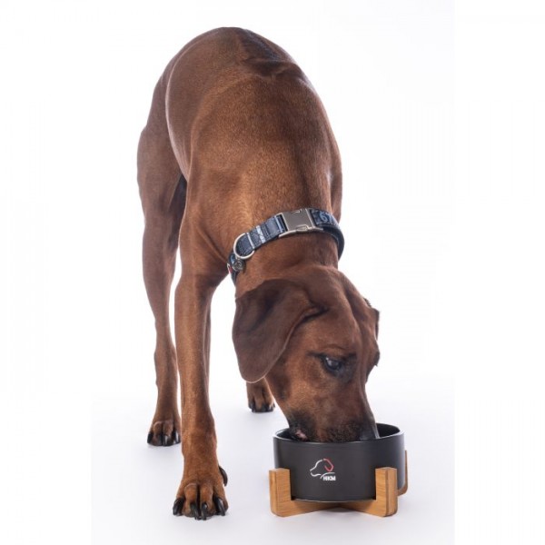 Μπωλ σκύλου -Buddy- πορσσελάνινο