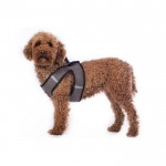 Dog harness -Buddy Soft-