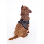 Dog harness -Buddy Soft- Dog harness -Buddy Soft-