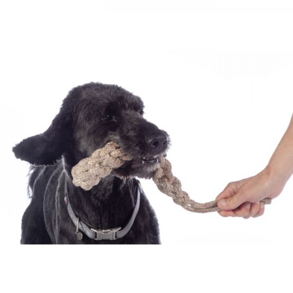 Dog toy -Buddy Knot Bone-