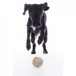 Dog toy -Buddy Knot Ball-