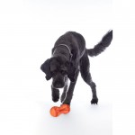 Dog toy -Buddy Bone II- natural rubber