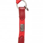 Καπίστρι -Aruba- Καπίστρι -Aruba-