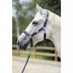 Καπίστρι -Aruba- Καπίστρι -Aruba-