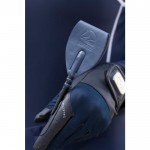 Μαστίγιο -Aruba- Μαστίγιο -Aruba-