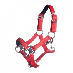 Καπίστρι -Aymee-