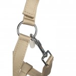 Καπίστρι -Amalfi Καπίστρι -Amalfi