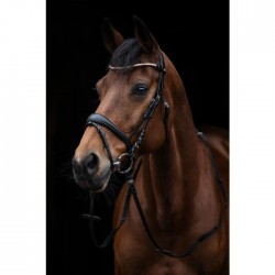 Χαλινό -Kopenhagen-