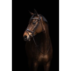 Χαλινό -Arezzo-