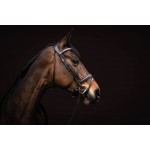 Χαλινό -Arezzo-