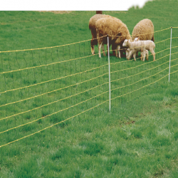 Δύχτια Ηλεκτροφόρα